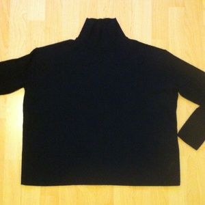 everlane cashmere turtleneck